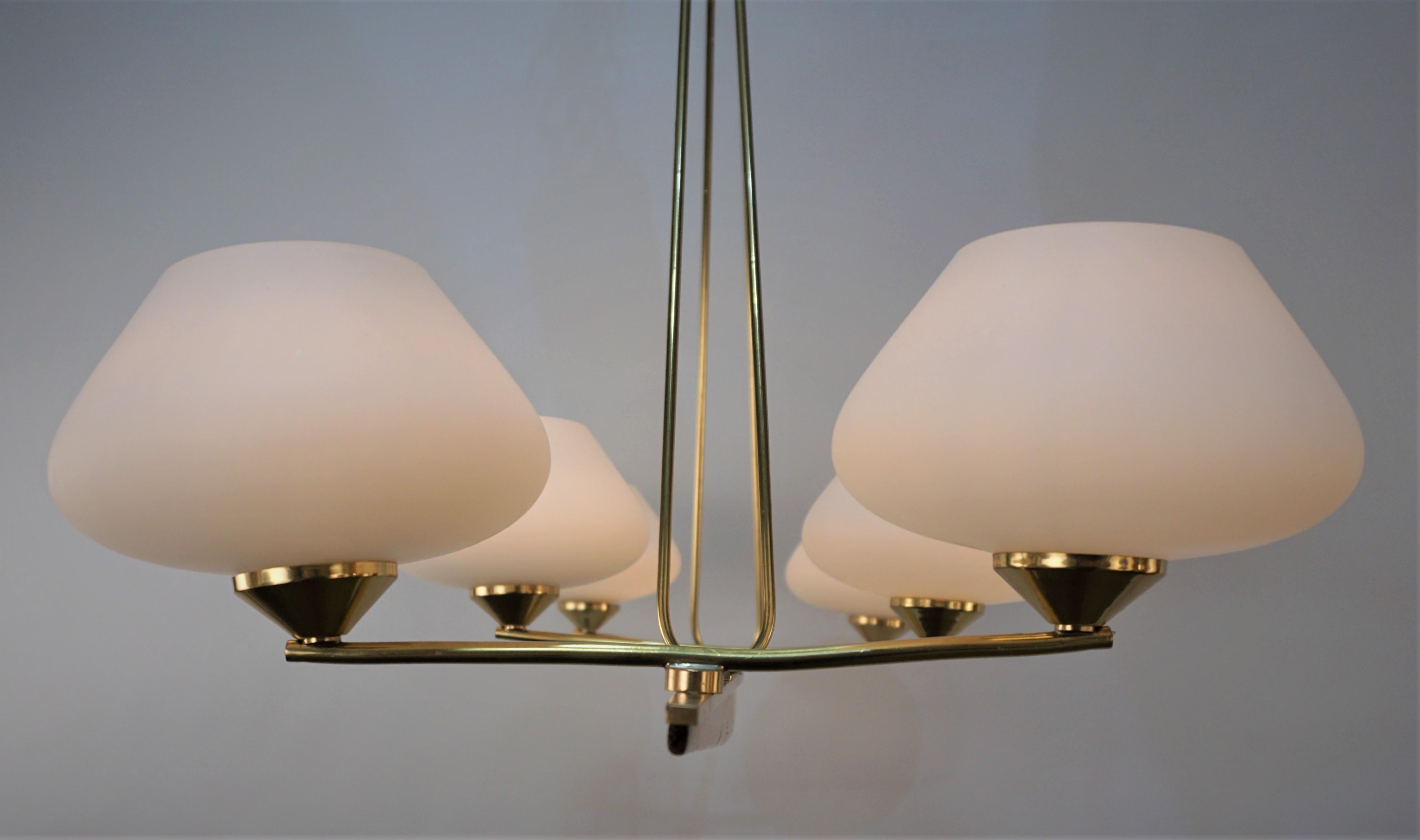 Mid-20th Century French Mid Century Chandelier For Sale