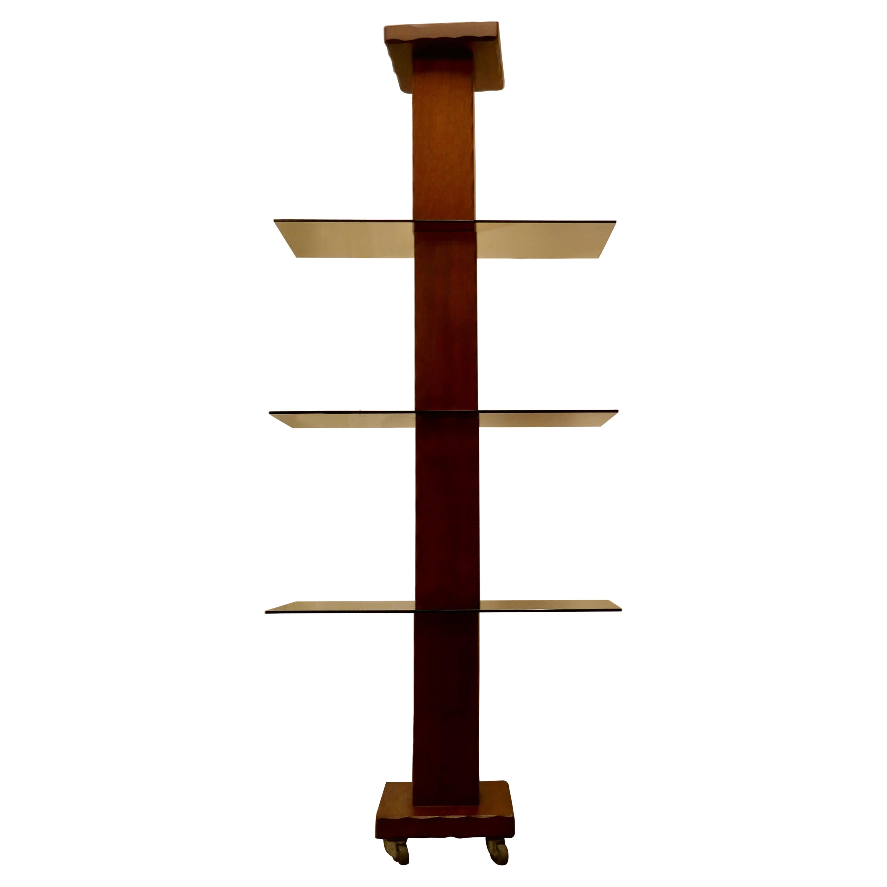 Étagère d'exposition en teck et verre fumé de style français moderne du milieu du siècle dernier, étagère