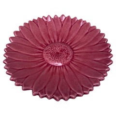 Französisch Mitte des Jahrhunderts Rosa Majolika Gänseblümchen Teller Maunier Vallauris