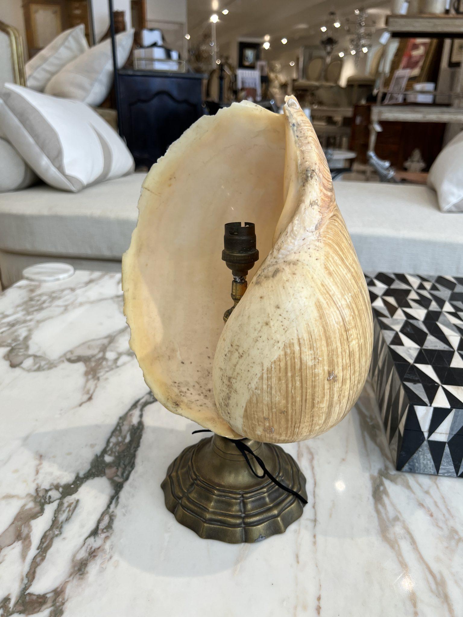 Ilumina tu espacio con el encanto distintivo y la elegancia retro de esta Lámpara Concha de Mediados de Siglo. Con su diseño único y su atractivo atemporal, esta lámpara es una pieza perfecta para cualquier espacio moderno de mediados de siglo. 