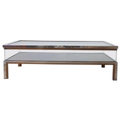 French Midcentury Vitrine Coffee Table