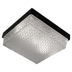 French Mid-century Wall Sconce or Flush Mount, 1970s