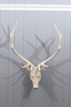 French Midcentury Carved and Painted Wooden Deer Head with Antlers