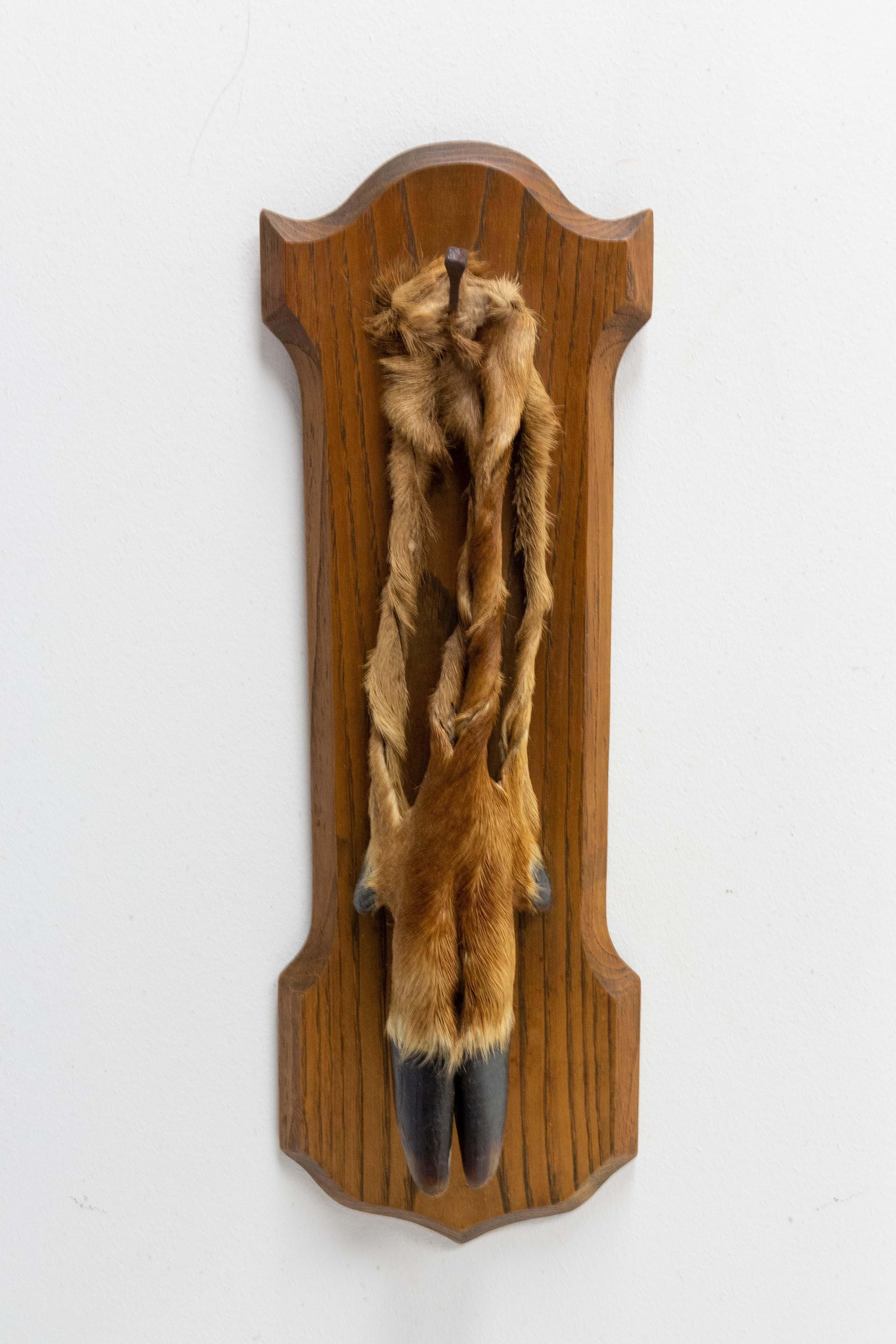 Midcentury hunting trophy made with an oak frame and a deer foot
Ideal for a chalet style decoration
French, circa 1960.
Good vintage condition

Shipping:
L16,5 P7 H48 0,8 kg