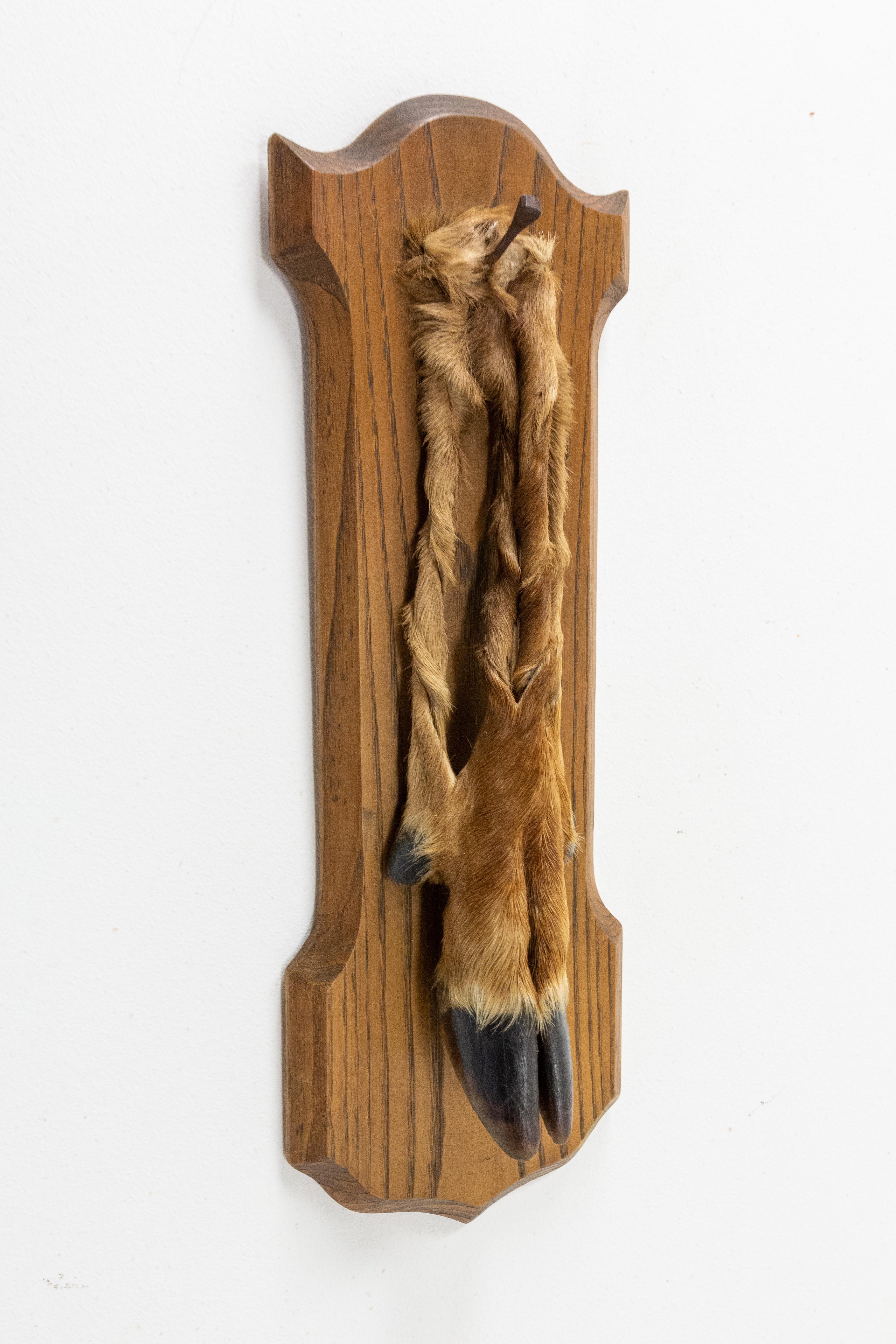 Mid-Century Modern French Midcentury Hunting Trophy Deer Foot and Oak, circa 1960 For Sale