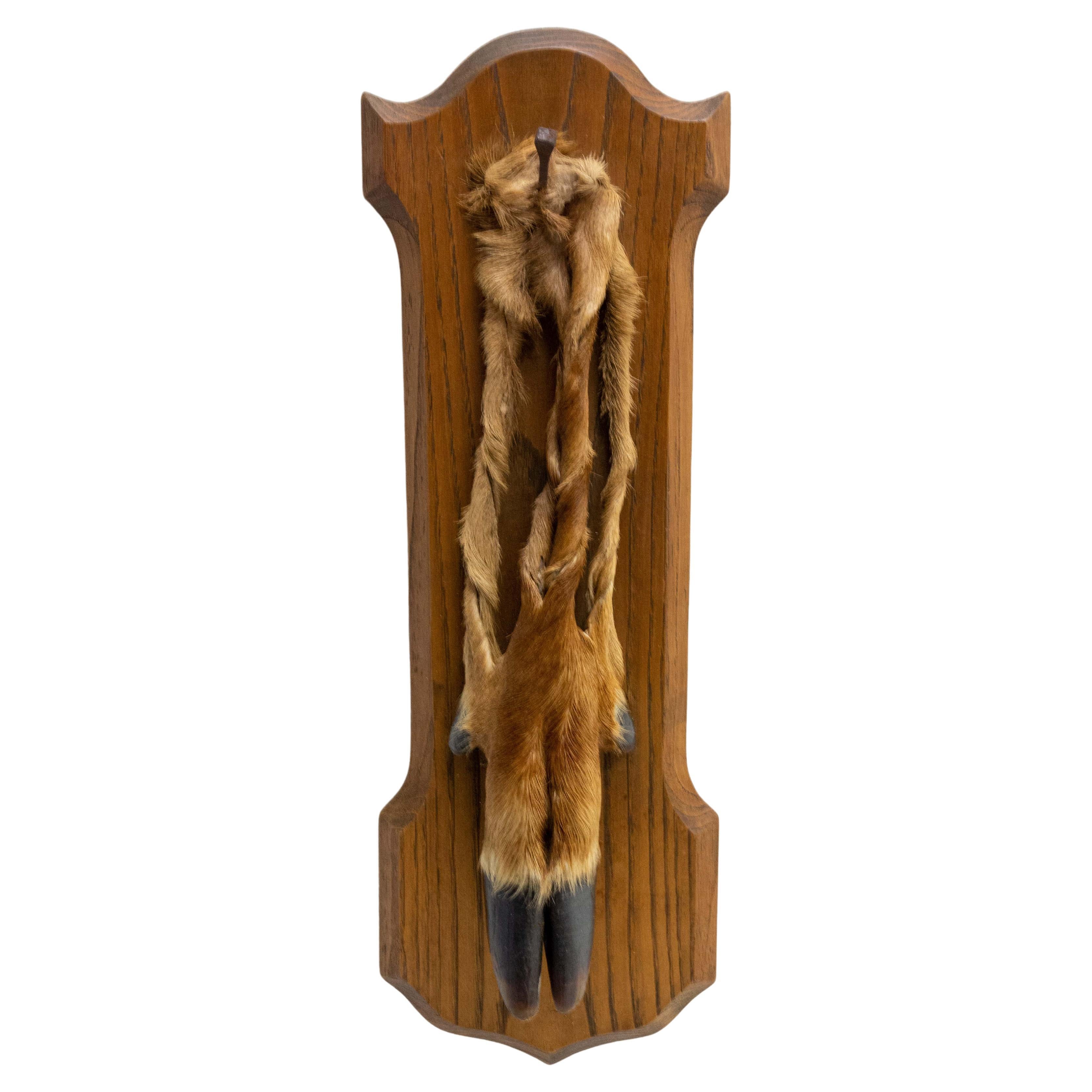 French Midcentury Hunting Trophy Deer Foot and Oak, circa 1960 For Sale