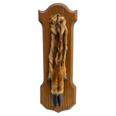 French Midcentury Hunting Trophy Deer Foot and Oak, circa 1960