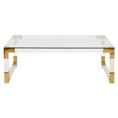 French Midcentury Lucite and Brass Coffee Table