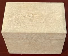 French Modern Blanc Shagreen Table Box