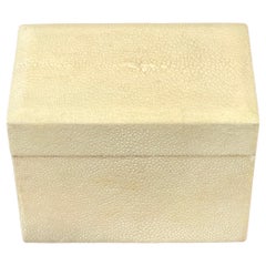 French Modern Blanc Shagreen Table Box