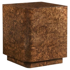 French Modern Burl Wood End Table