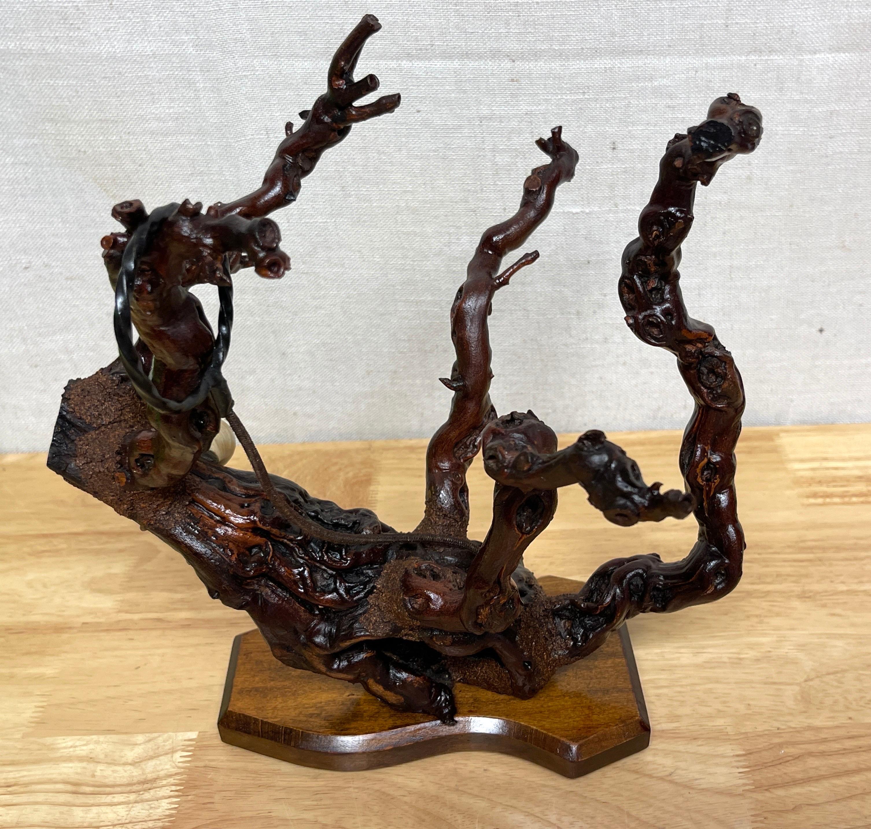 Parra Natural Moderna Francesa 'Coral  Caja para vino en venta 3