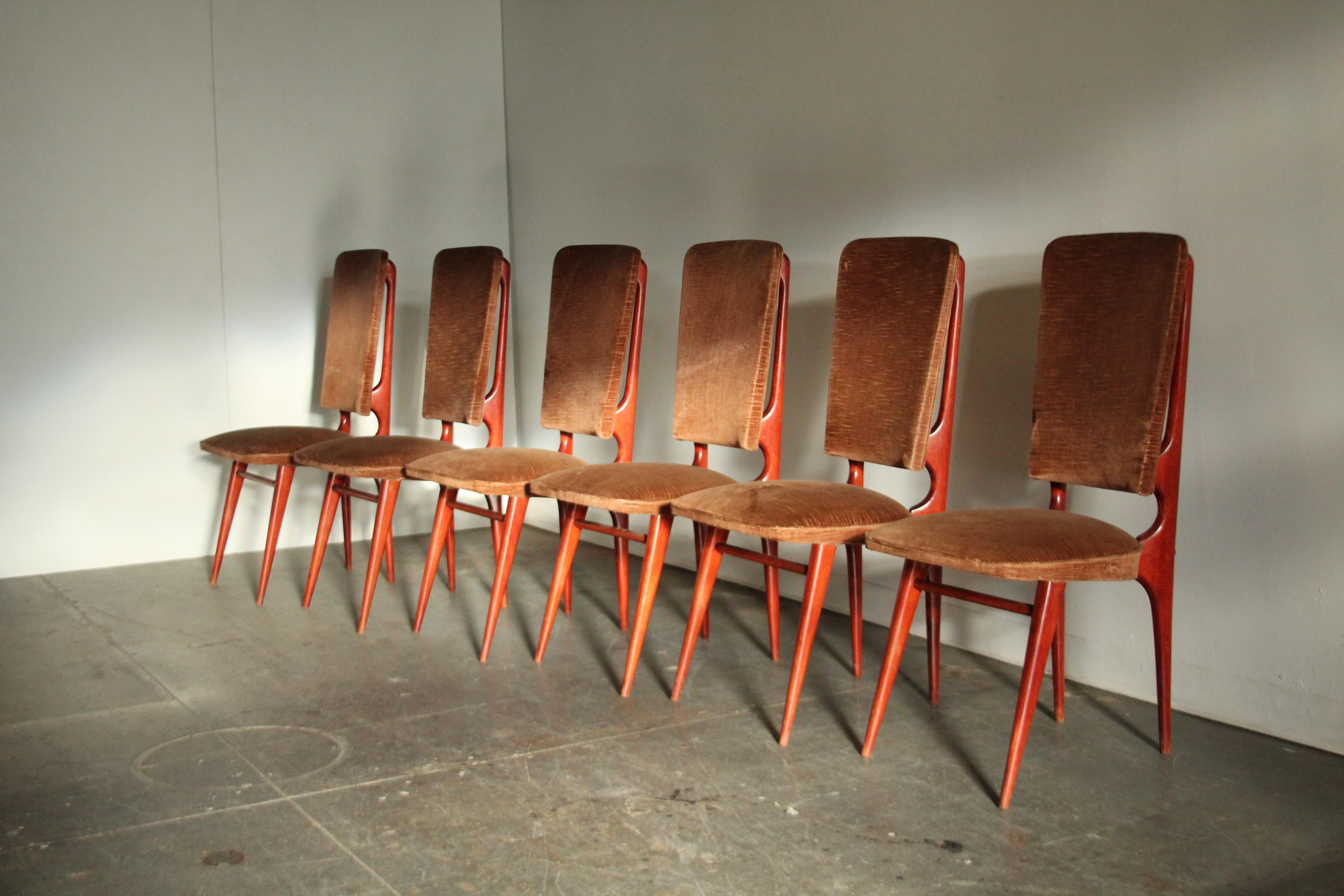 Un ensemble étonnant et peu commun de 6 chaises de salle à manger modernistes françaises produites par la Maison Stella dans les années 1950. Cadres sculpturaux épurés en hêtre teinté à l'aniline. Tapisserie d'origine en velours marron. Une forme