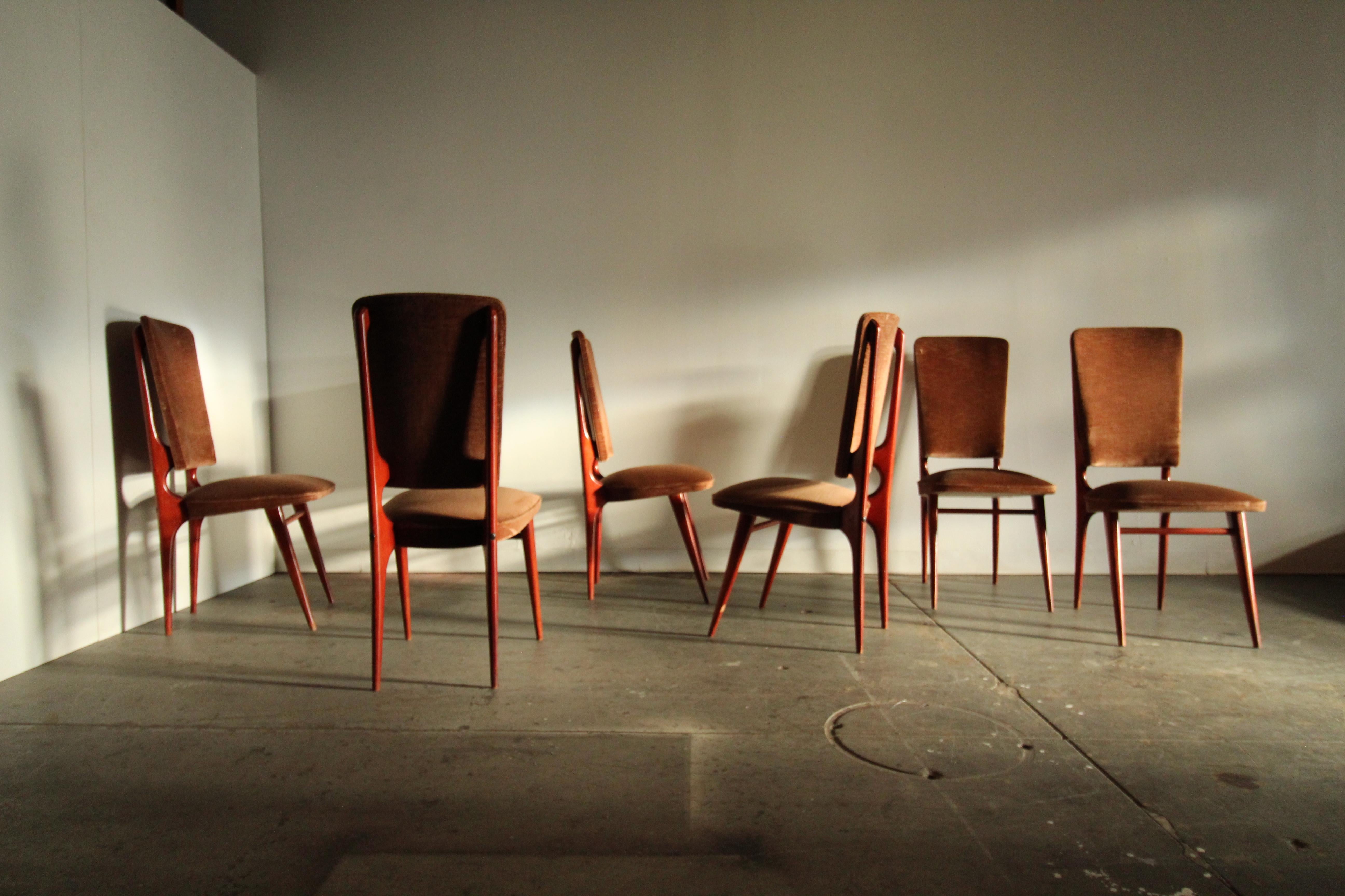 Mid-20th Century French Modernist Dining Chairs by Maison Stella, Set of 6, 1950s For Sale