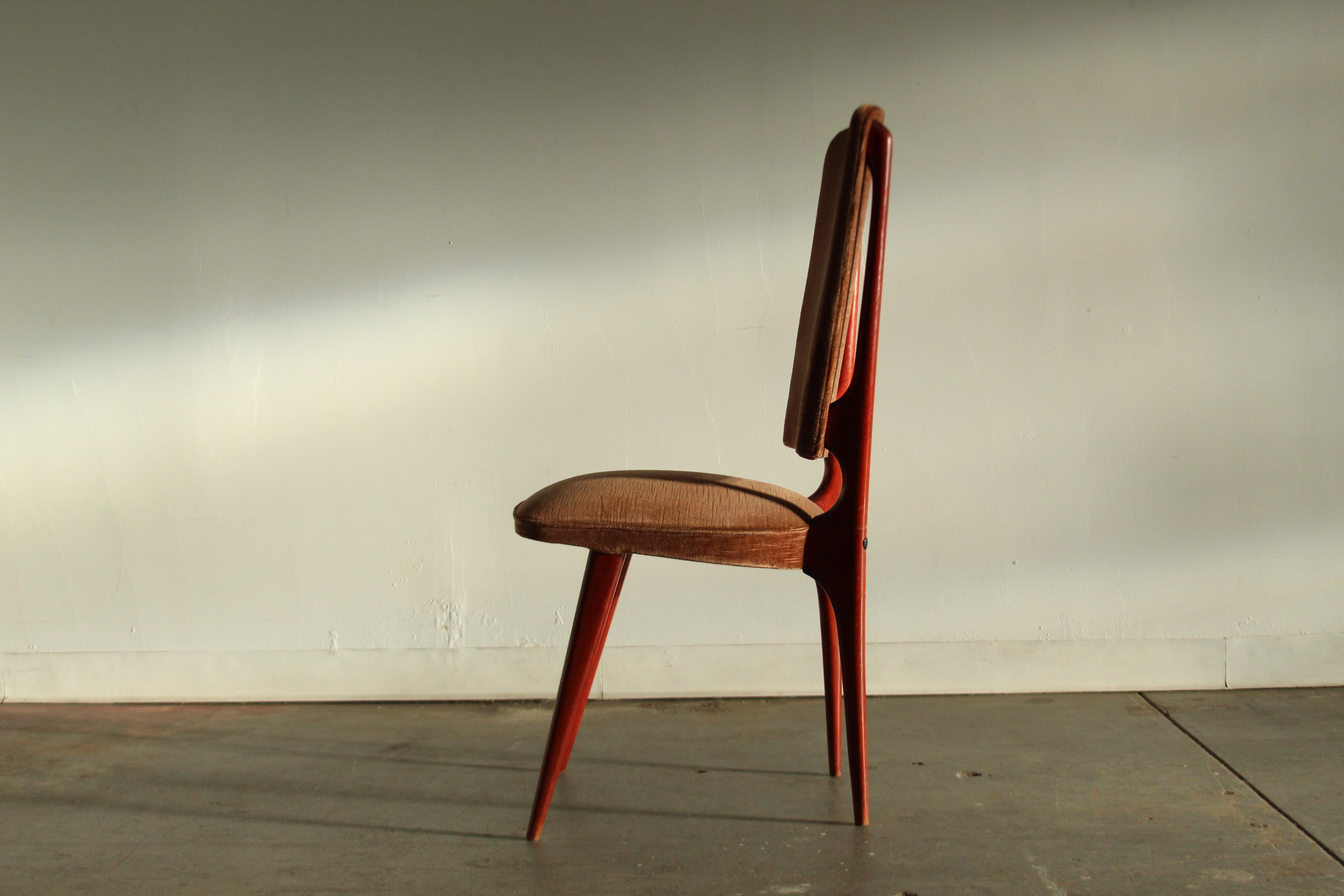 Chaises de salle à manger modernistes françaises par Maison Stella, ensemble de 6, années 1950 en vente 2