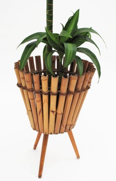 French Modernist Handcrafted Bamboo and Rattan Planter, 1950s