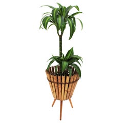 Vintage French Modernist Handcrafted Bamboo and Rattan Planter, 1950s