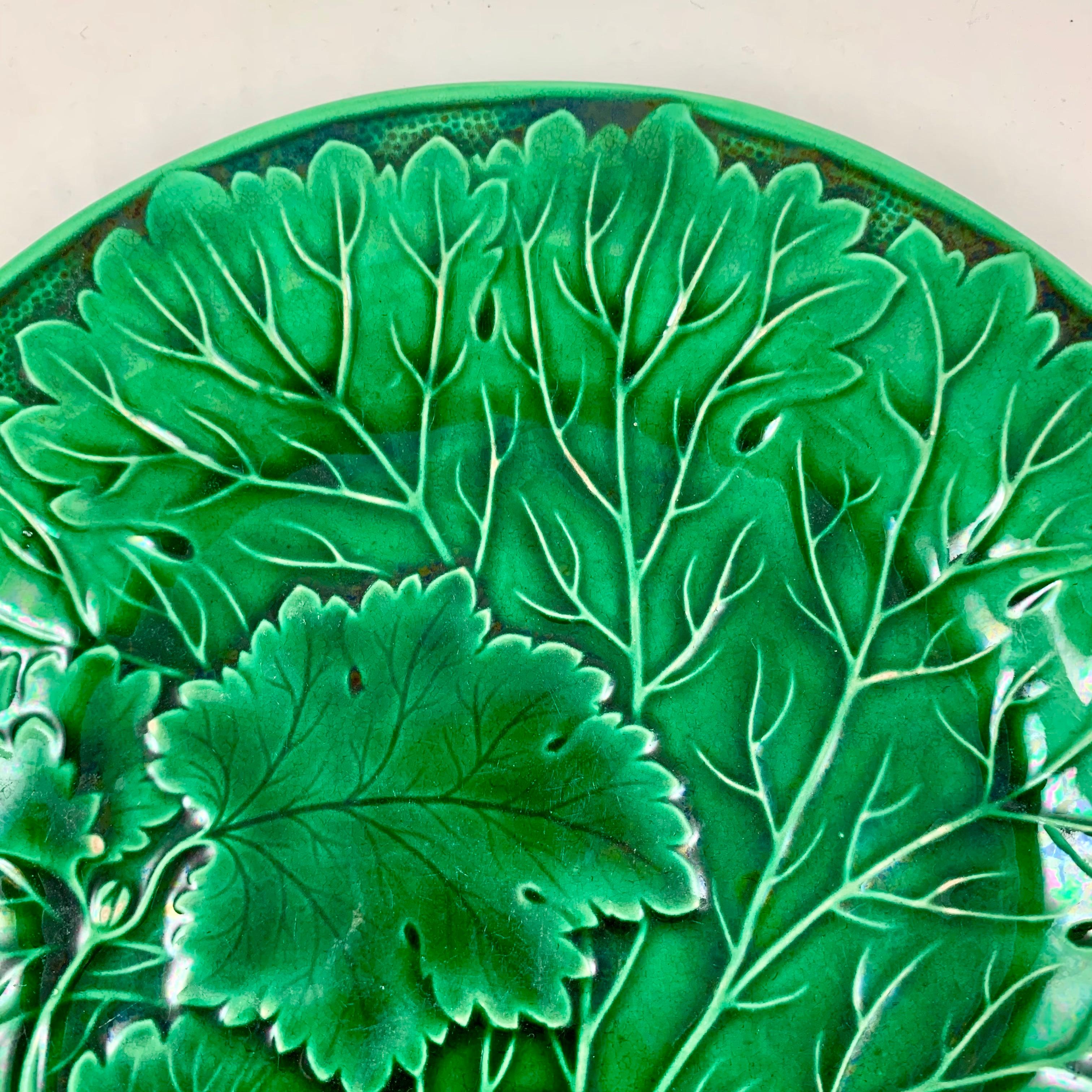 French Provincial French Montereau Faïence Green Glazed Majolica Leaf Plate, circa 1890