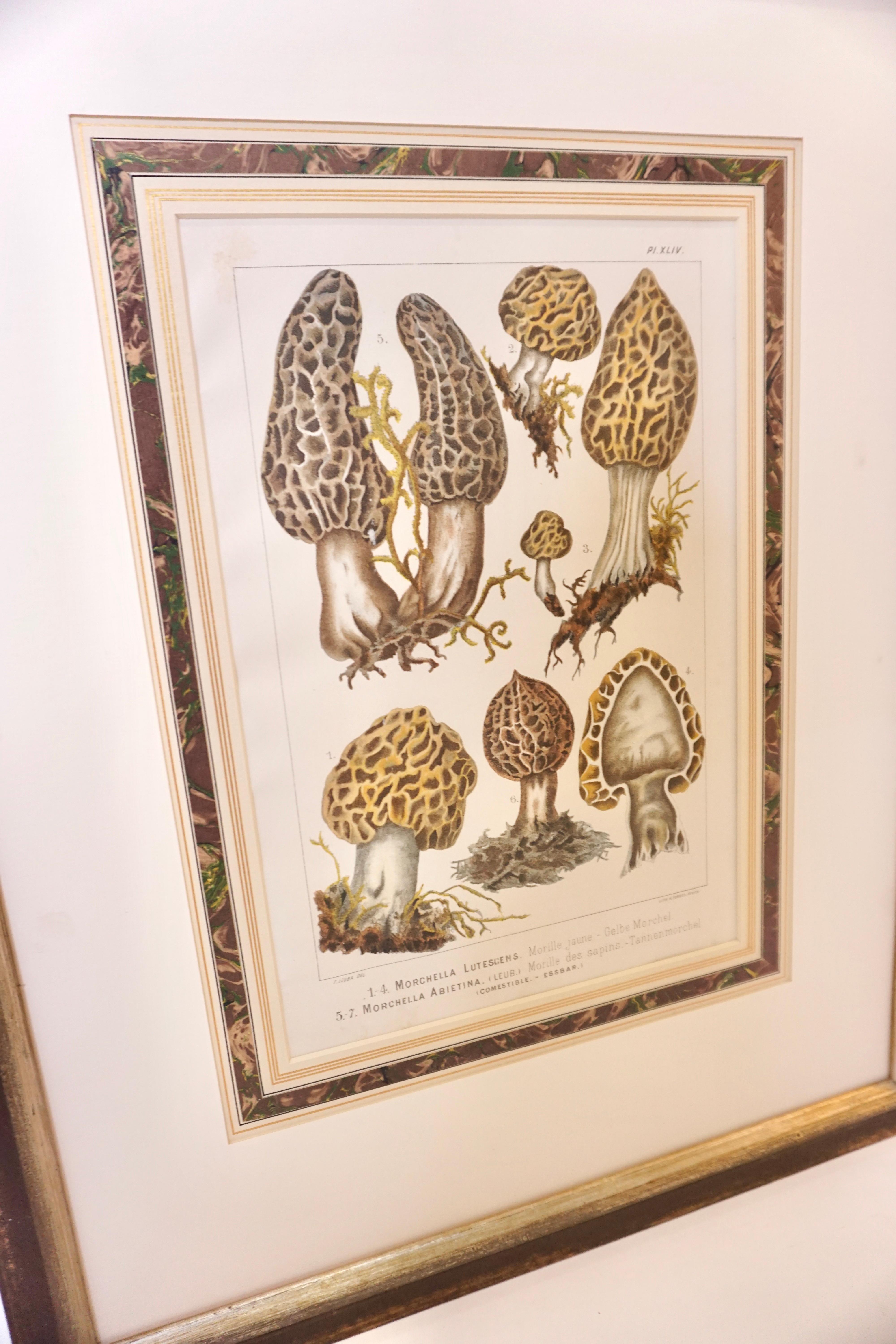 This antique French print is matted and framed in museum glass with a simple wood frame.