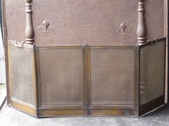 French Napoleon III Fireplace Screen or Fire Screen