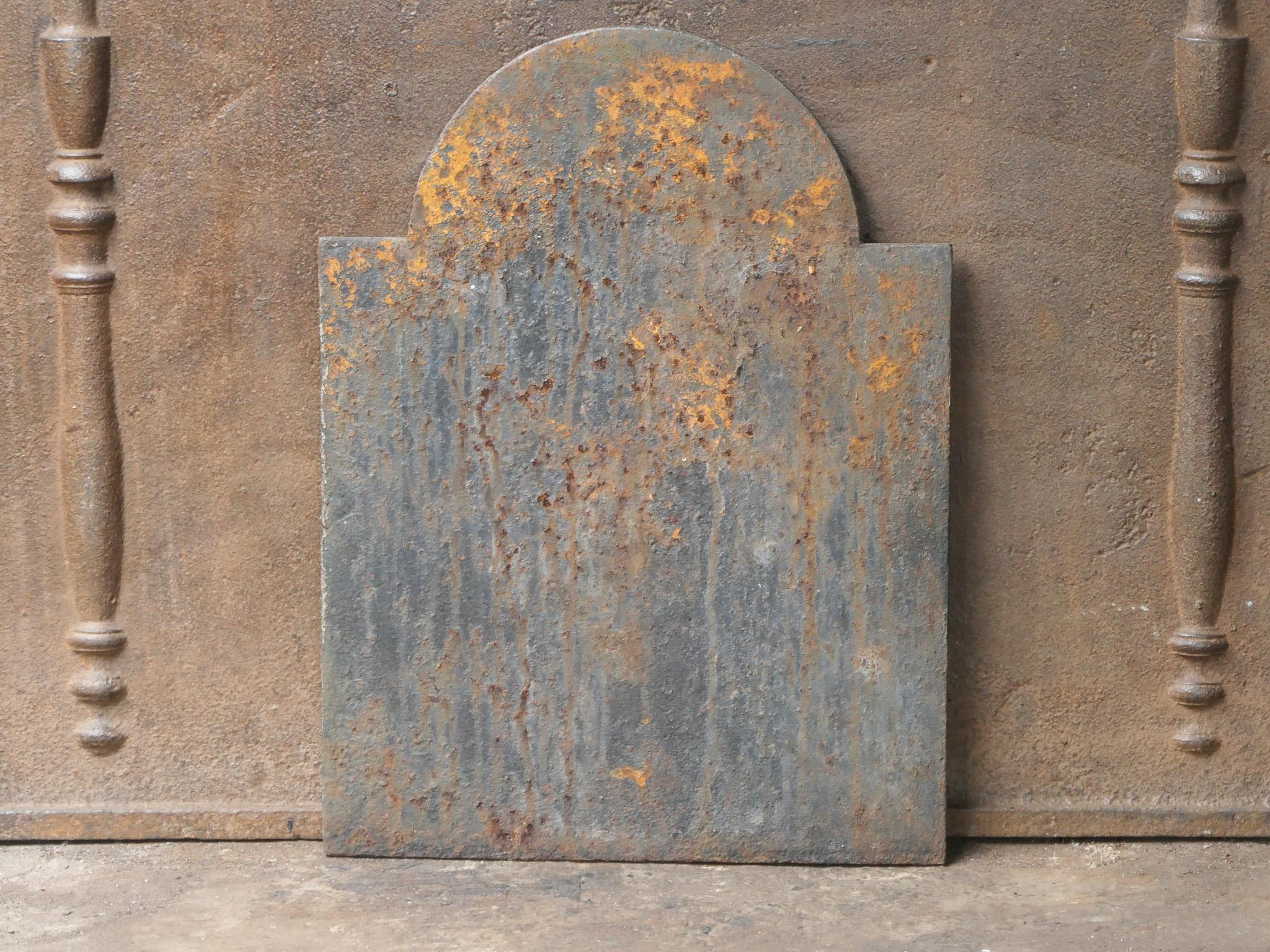 French Napoleon III Period 'Saint Marc and the Lion' Fireback / Backsplash 7