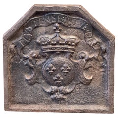 French Napoleon III Style 'Arms of France' Fireback / Backsplash