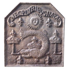 French Napoleon III Style 
Coat of Arms
 Fireback