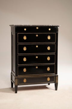 French Napoleon III Weekly Chest in Black Ebonized Wood