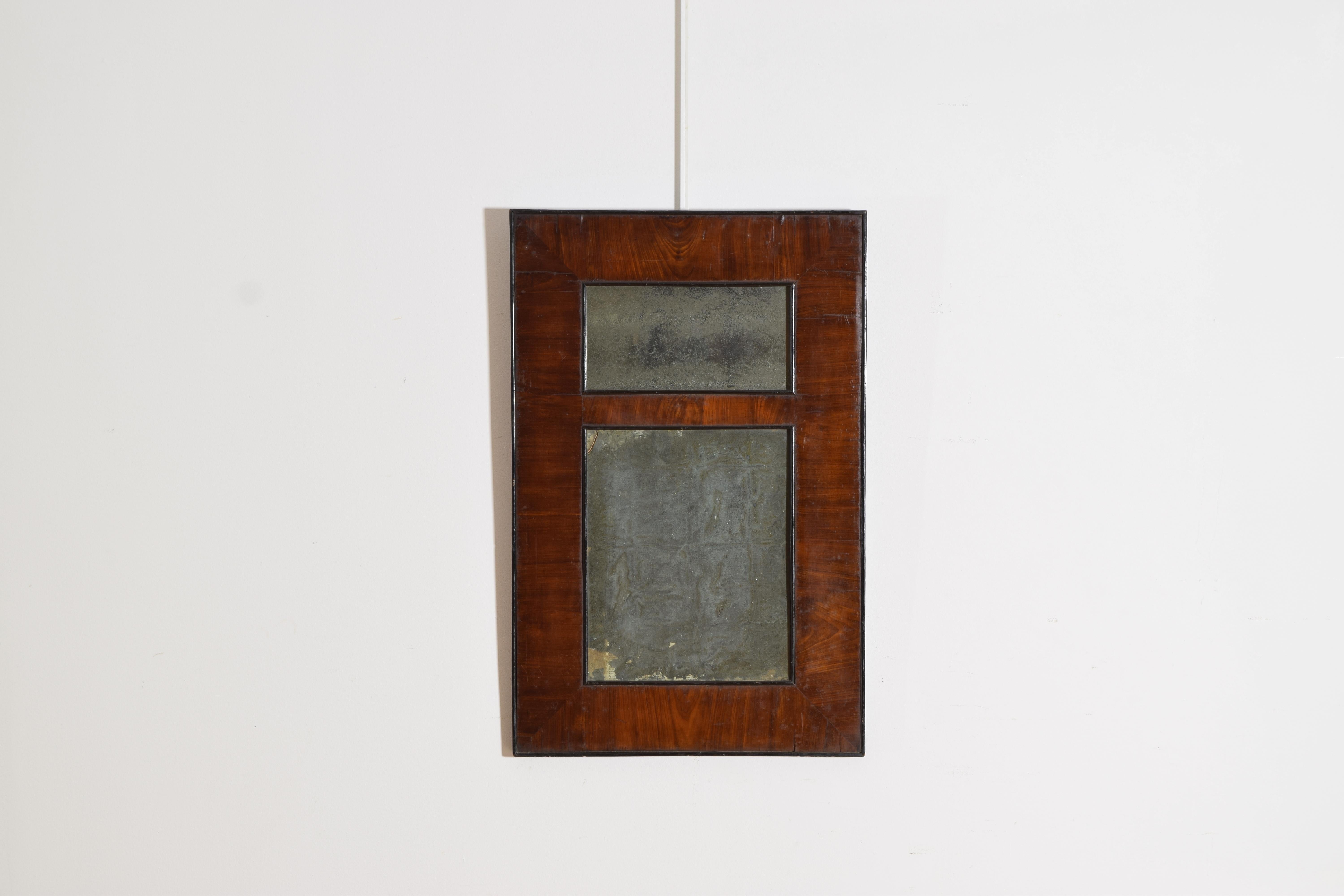 or vertical rectangular form and having separate sections of antique mirrors, the inner and outer edges raised and ebonized