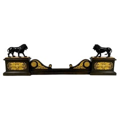 French Neoclassical Gilt Bronze Lion Fireplace Fender Adjustable Width