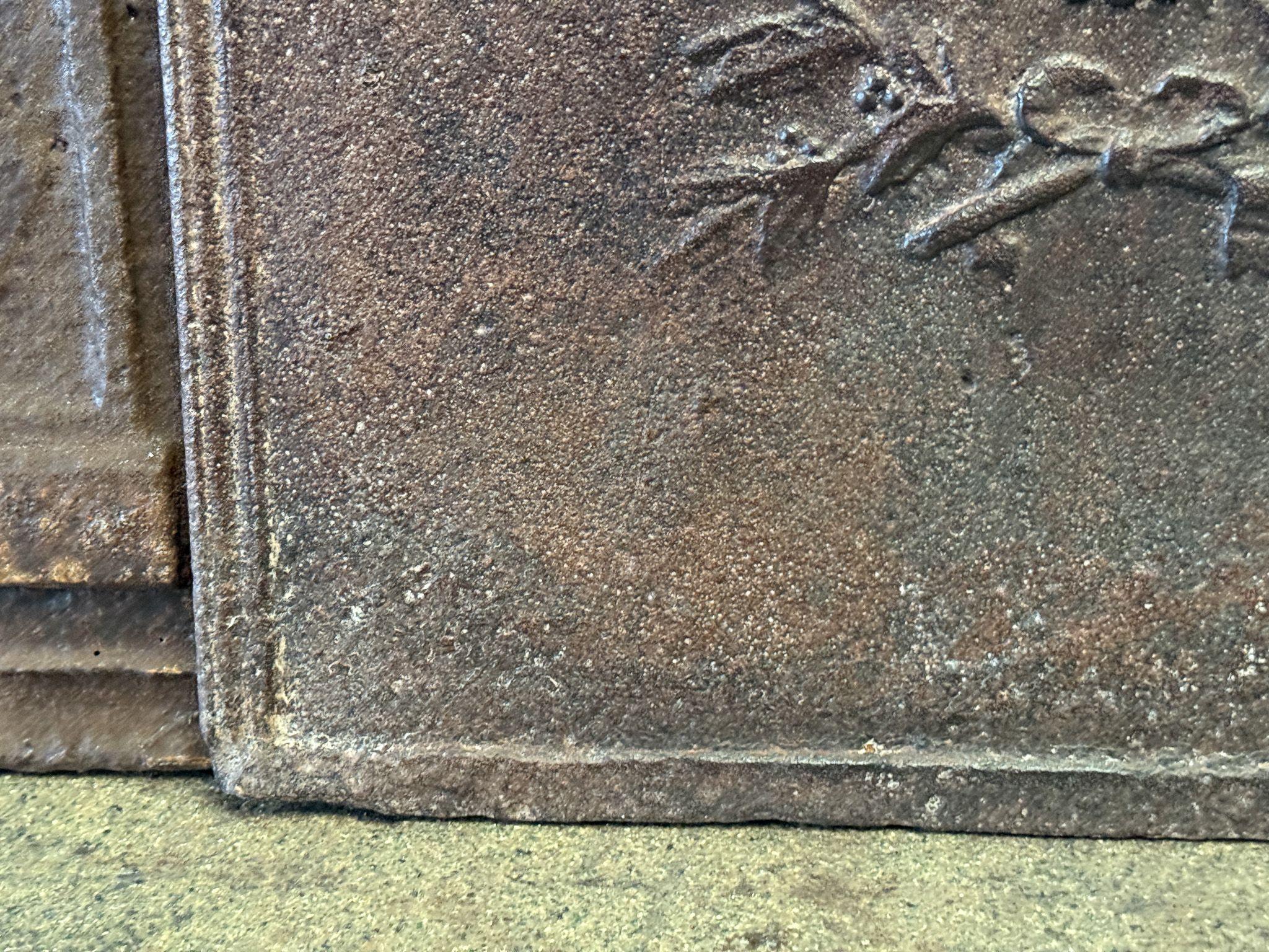 French Neoclassical Fireback / Backsplash, Neoclassical Period For Sale 2