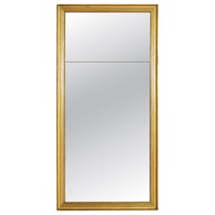 French Neoclassical Period Giltwood Mirror