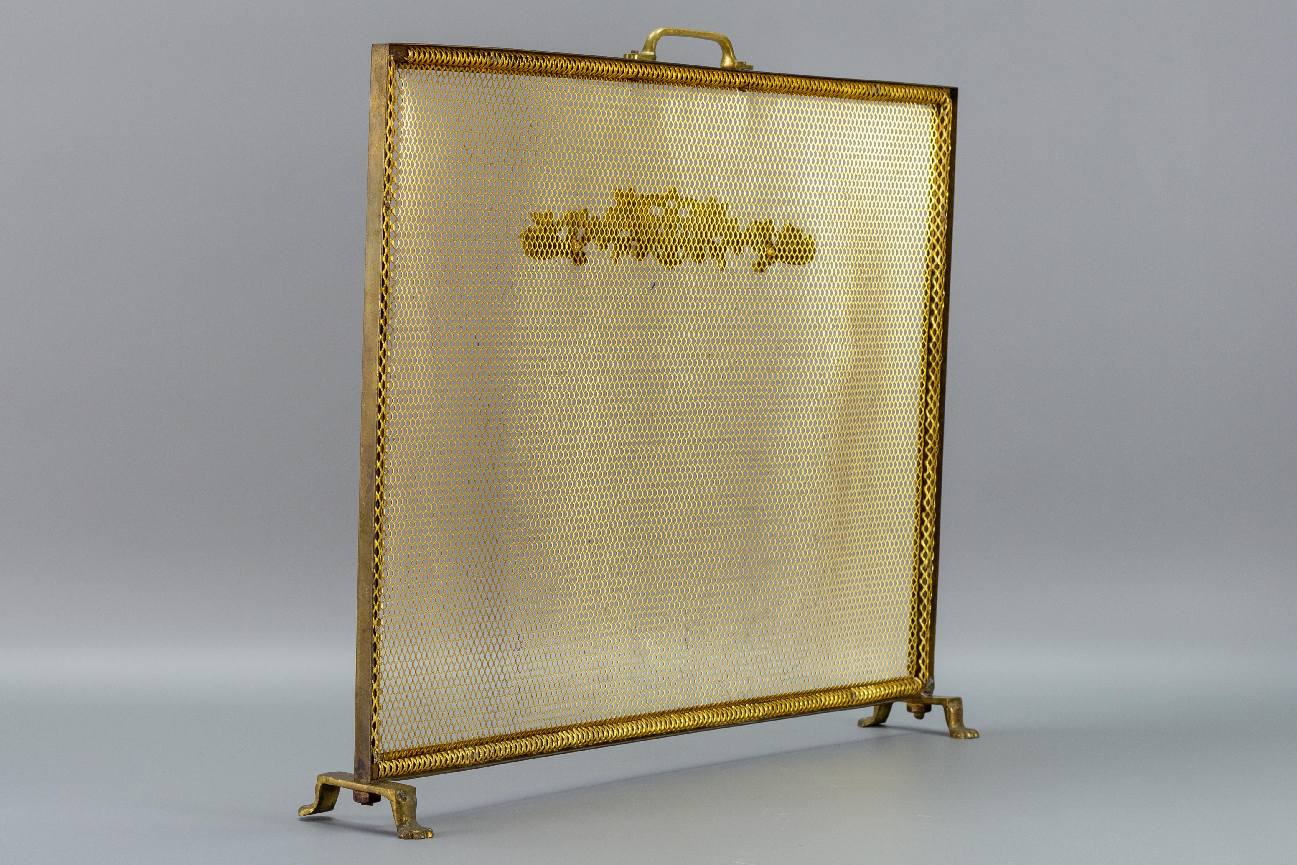French Neoclassical Style Brass and Mesh Fireplace or Fire Screen 5