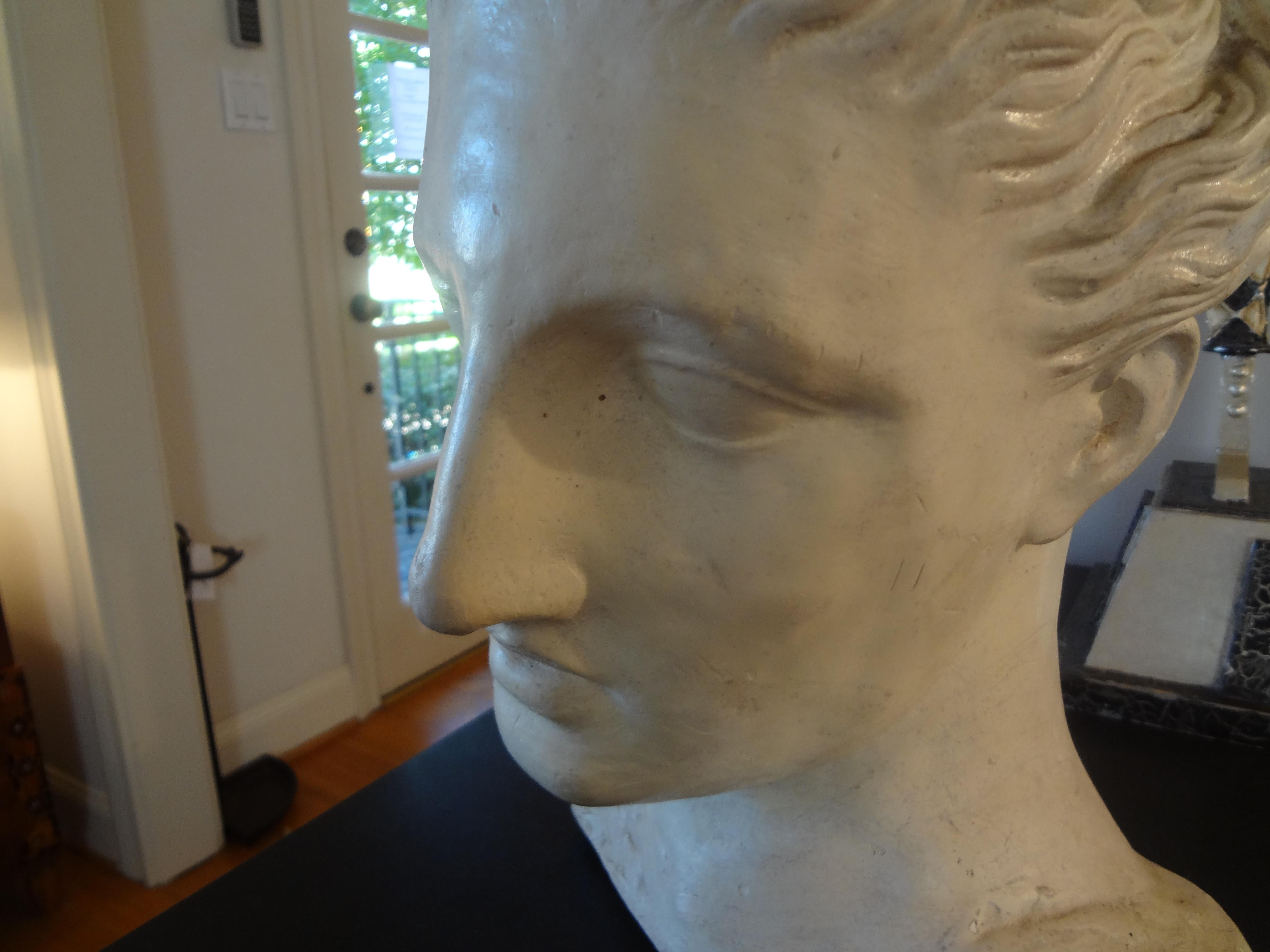 French Neoclassical Style Plaster Bust 4
