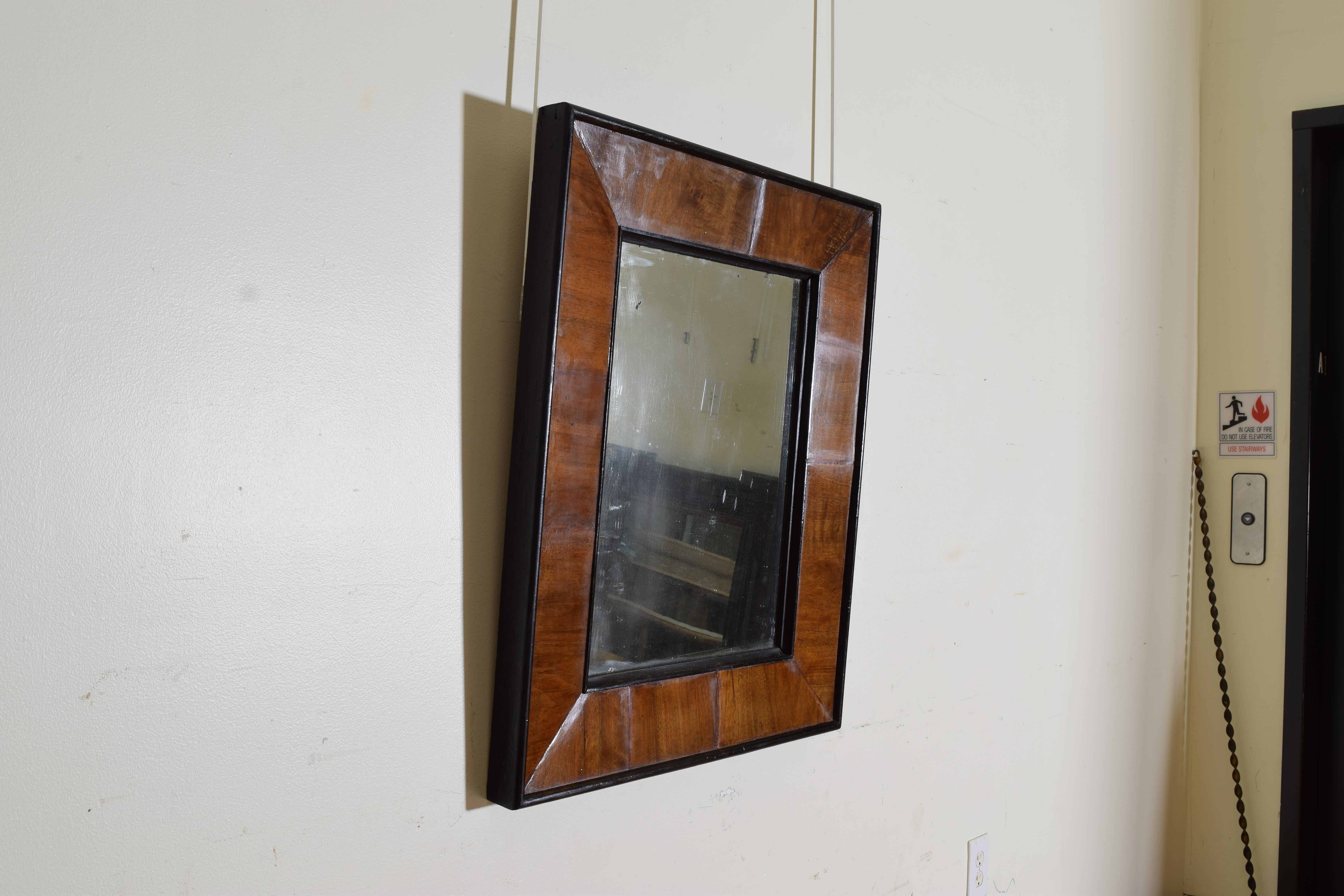 French Neoclassical Walnut and Ebonized Mirror In Good Condition In Atlanta, GA