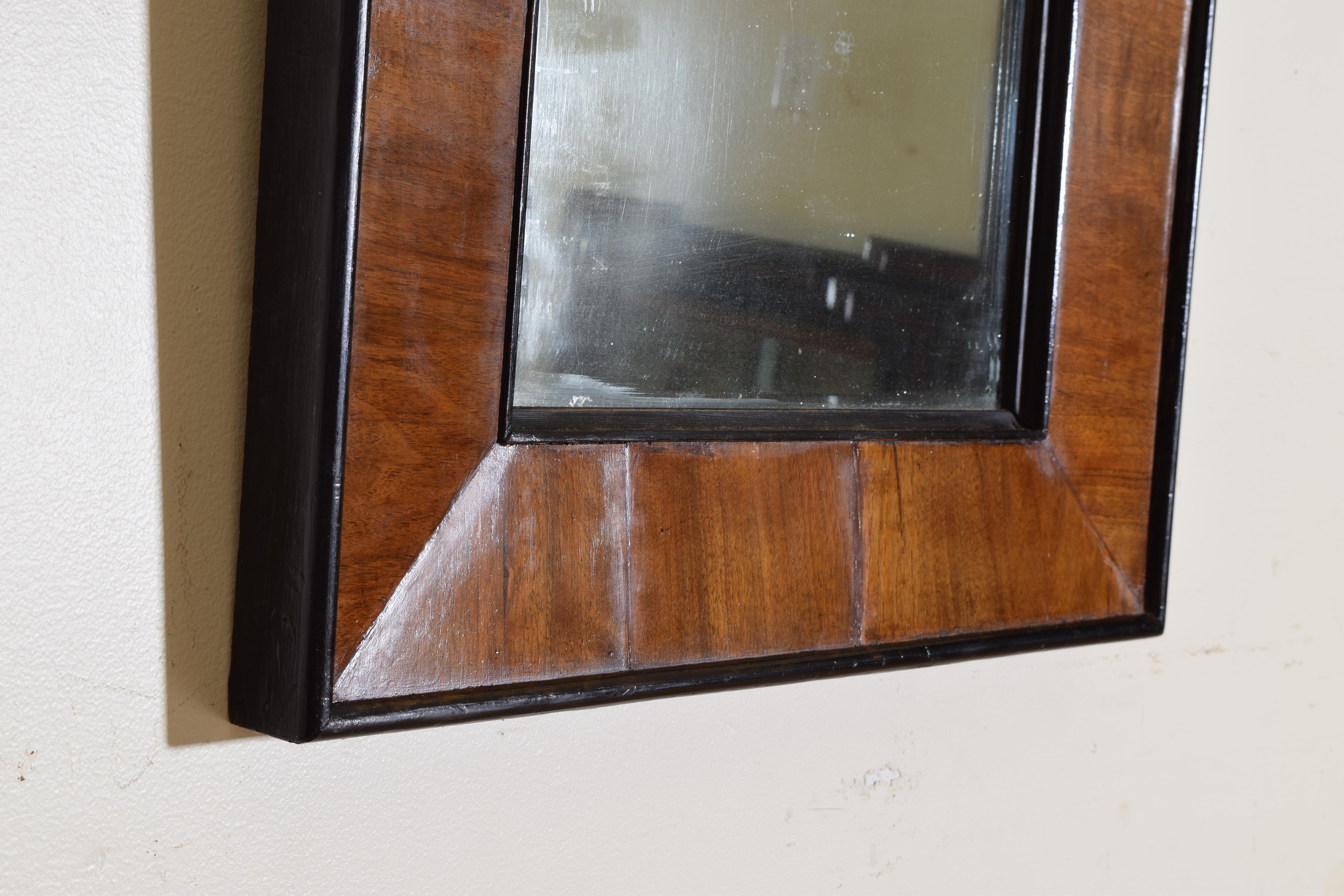 French Neoclassical Walnut and Ebonized Mirror 2