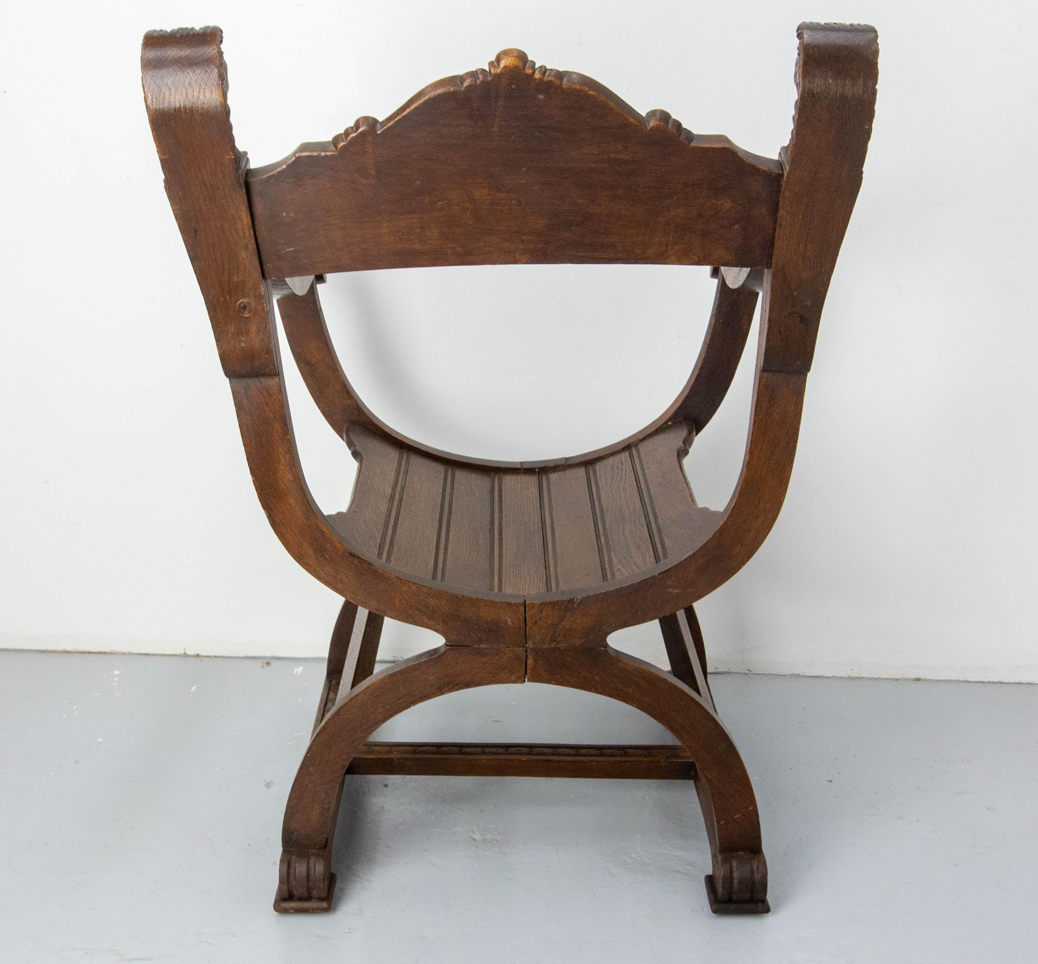 20th Century French Neogothic Chestnut Curule Armchair with Two Lionheads, French, circa 1900 For Sale