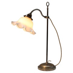 French Nickel Plated Steel and Bronze Art Nouveau Desk/Table Lamp