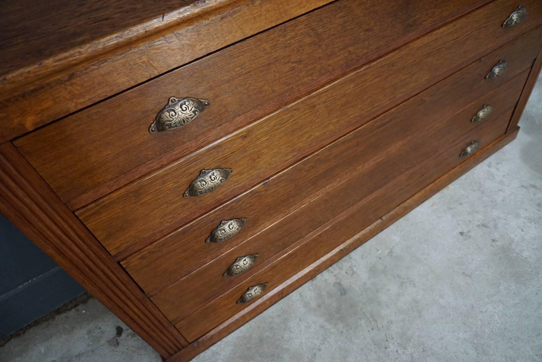 French Oak Apothecary Cabinet, 1930s 6