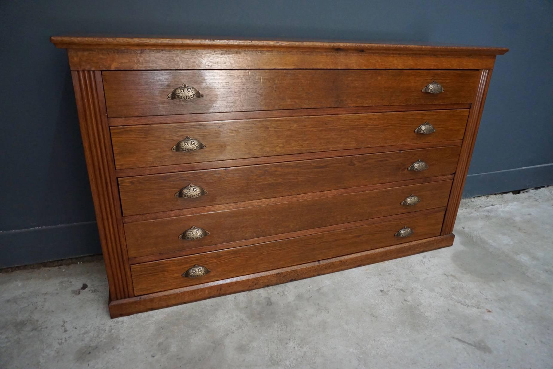 French Oak Apothecary Cabinet, 1930s 1