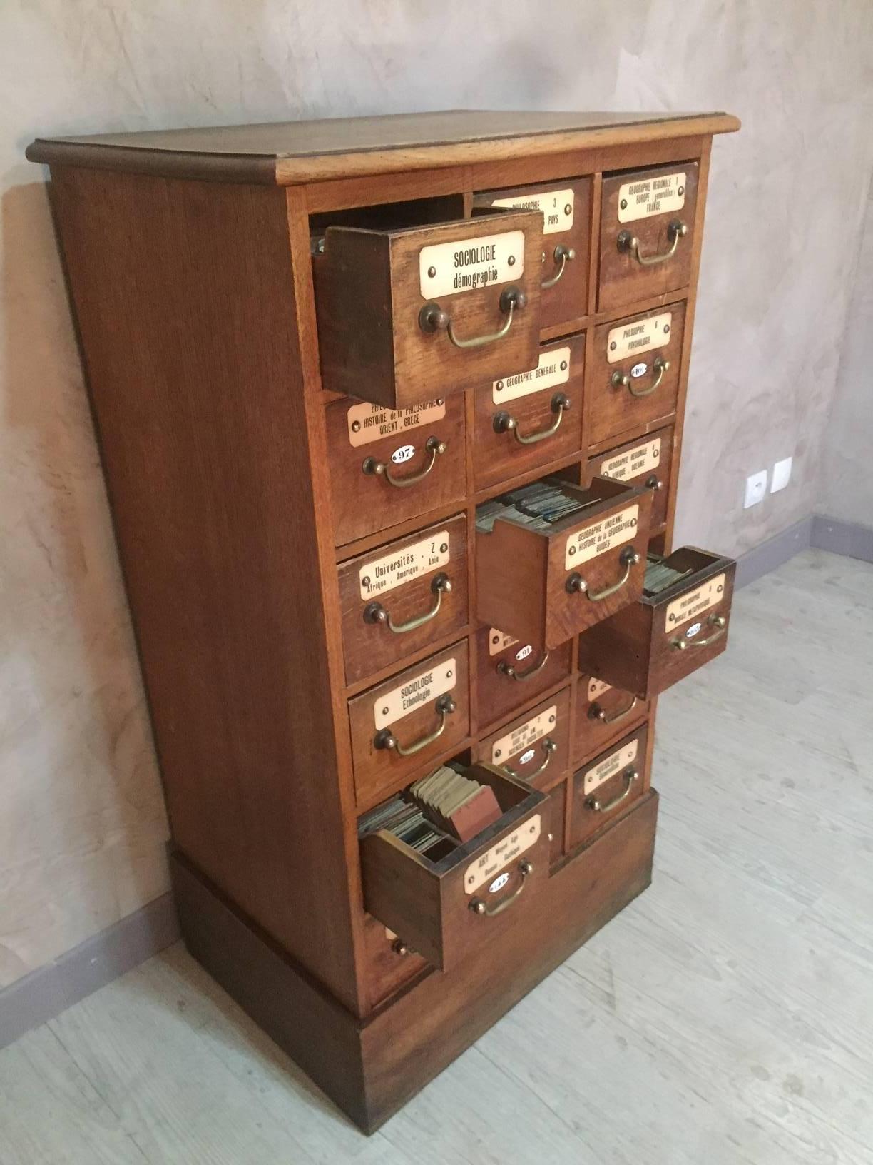 Patinated French Oak University Storage Cabinet, 1900s