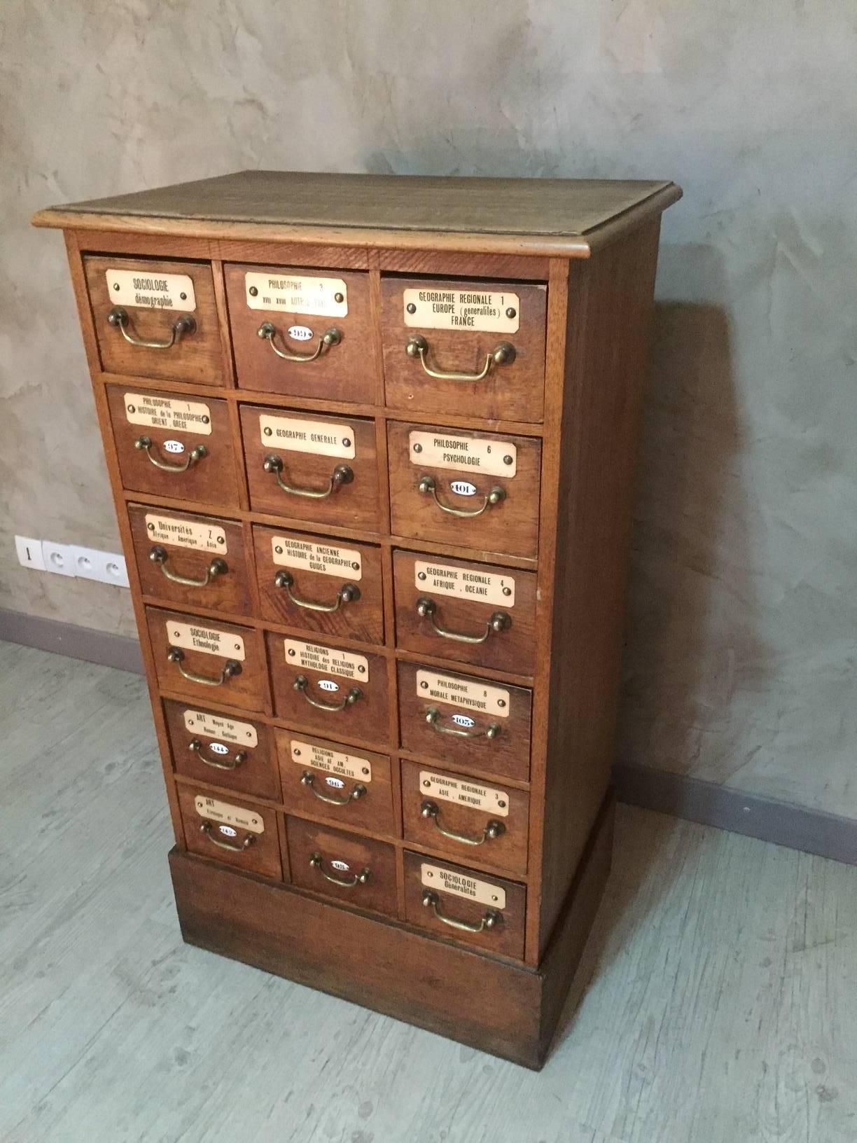 French Oak University Storage Cabinet, 1900s 3