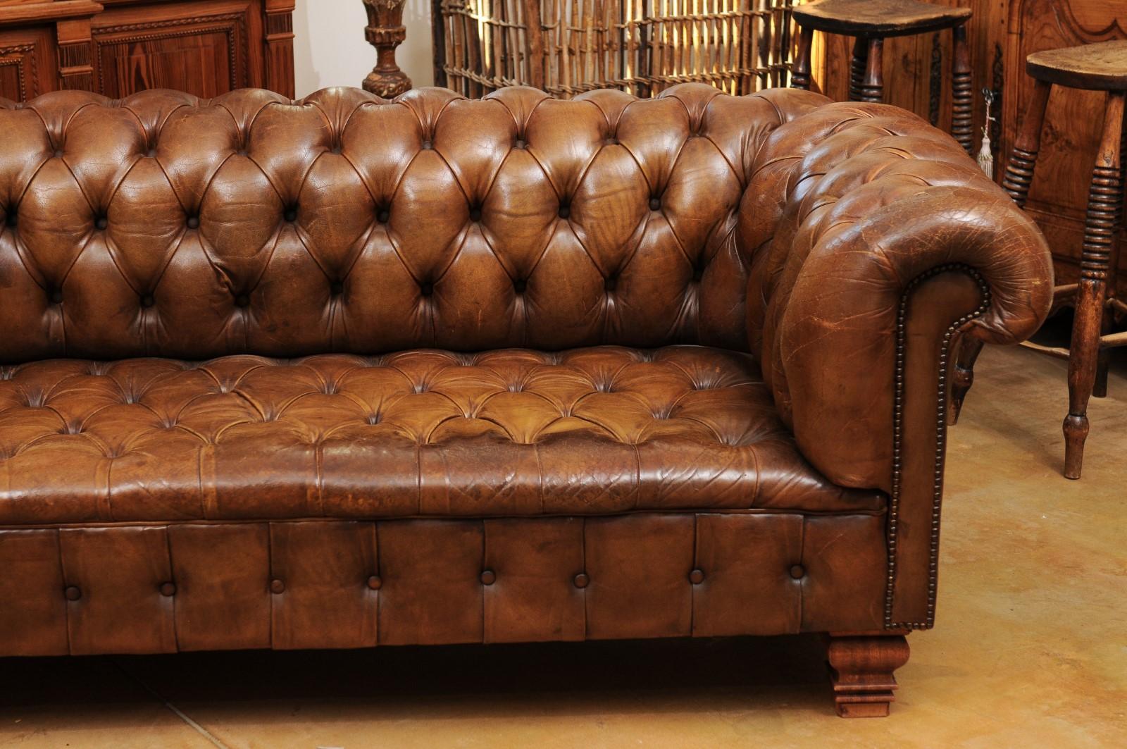 French Old Leather Tufted Chesterfield Sofa with Nailhead Trim, circa 1890 7