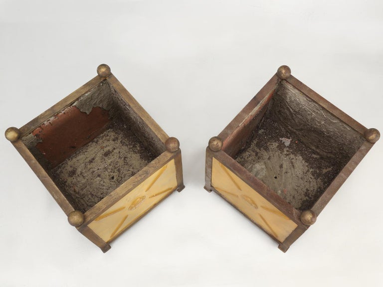 French Orangerie Jardinière Planters from the South of France, Vintage