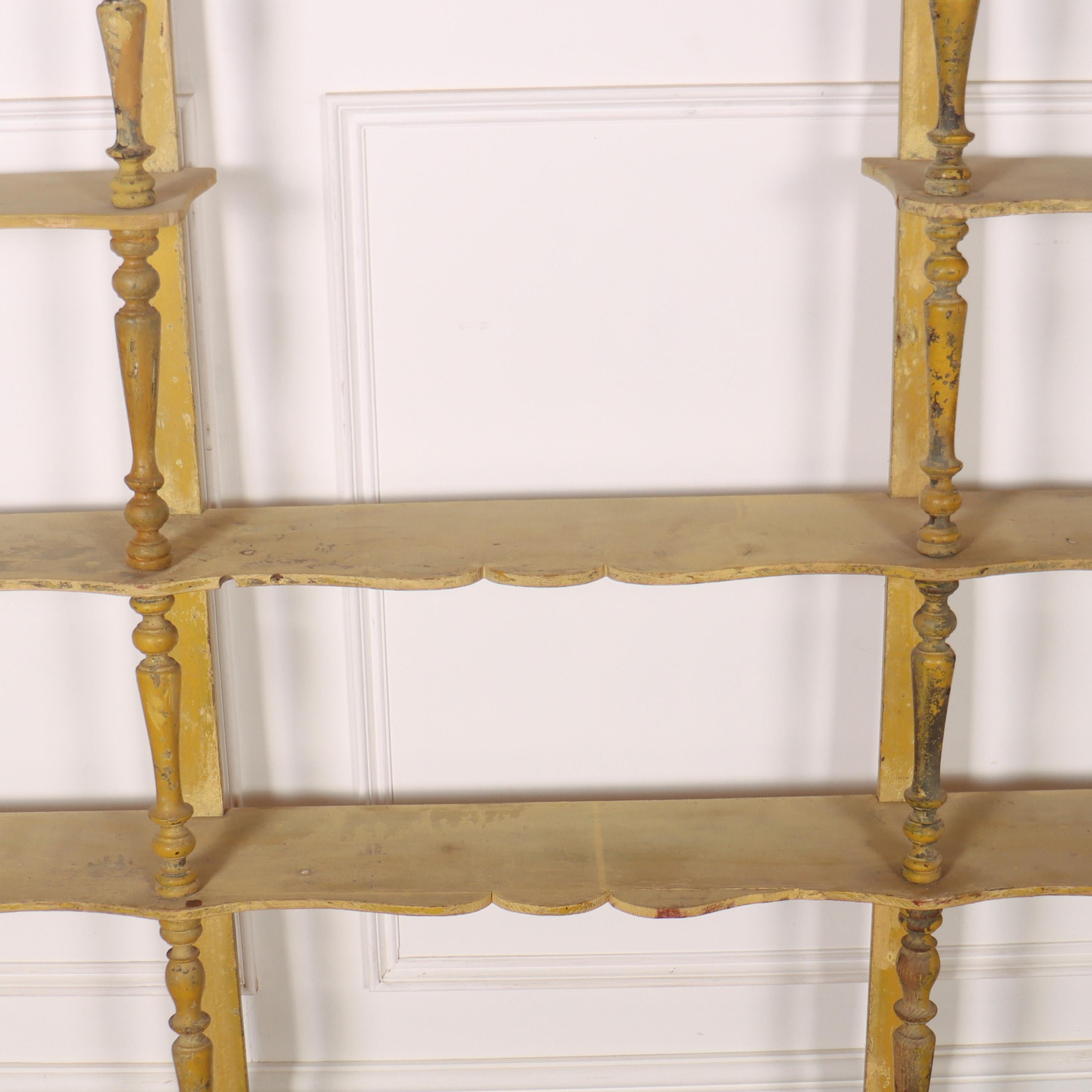 French Original Painted Hanging Rack For Sale 1