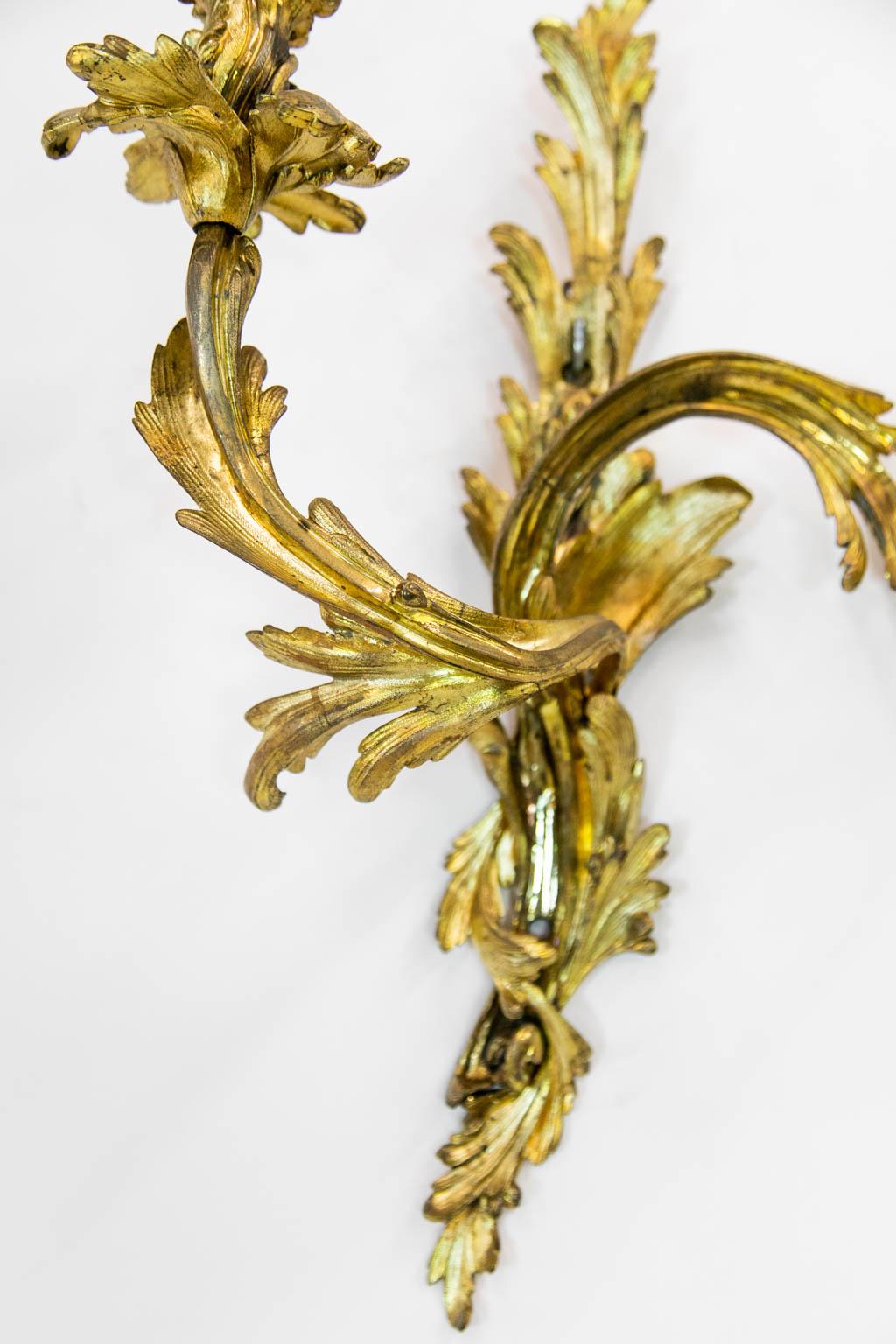 Early 20th Century French Ormolu Wall Sconce