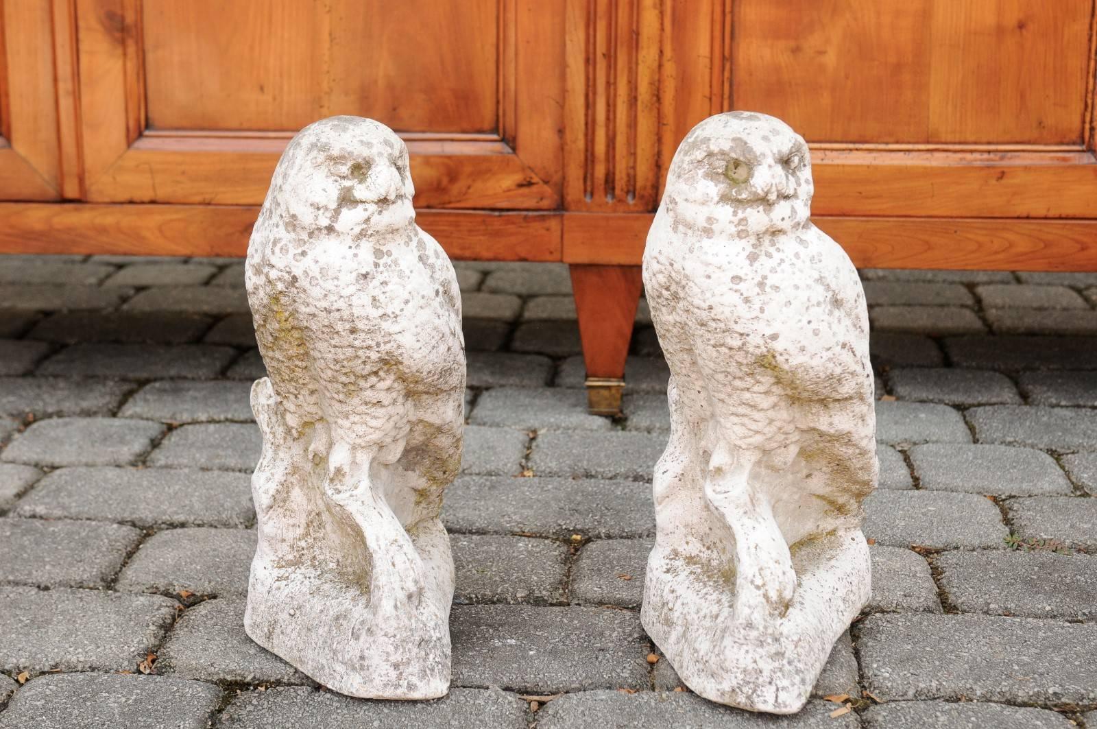 French Owl Composition Sculpture, circa 1950 with Weathered Appearance 5