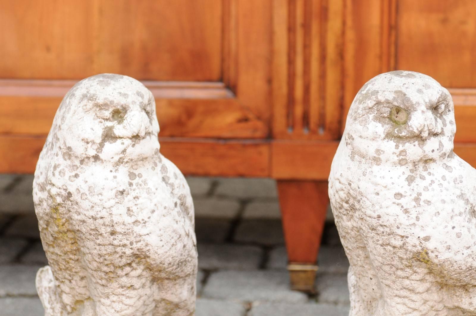 French Owl Composition Sculpture, circa 1950 with Weathered Appearance 6