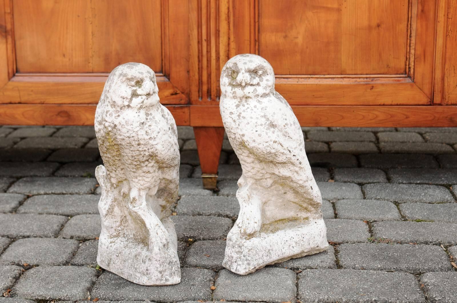 Two French vintage composition owl sculptures from the mid-20th century, priced and sold separately. Each owl features a nicely weathered patina. Peacefully resting on a small branch that seems to emerge from a shaped base, each owl is depicted with