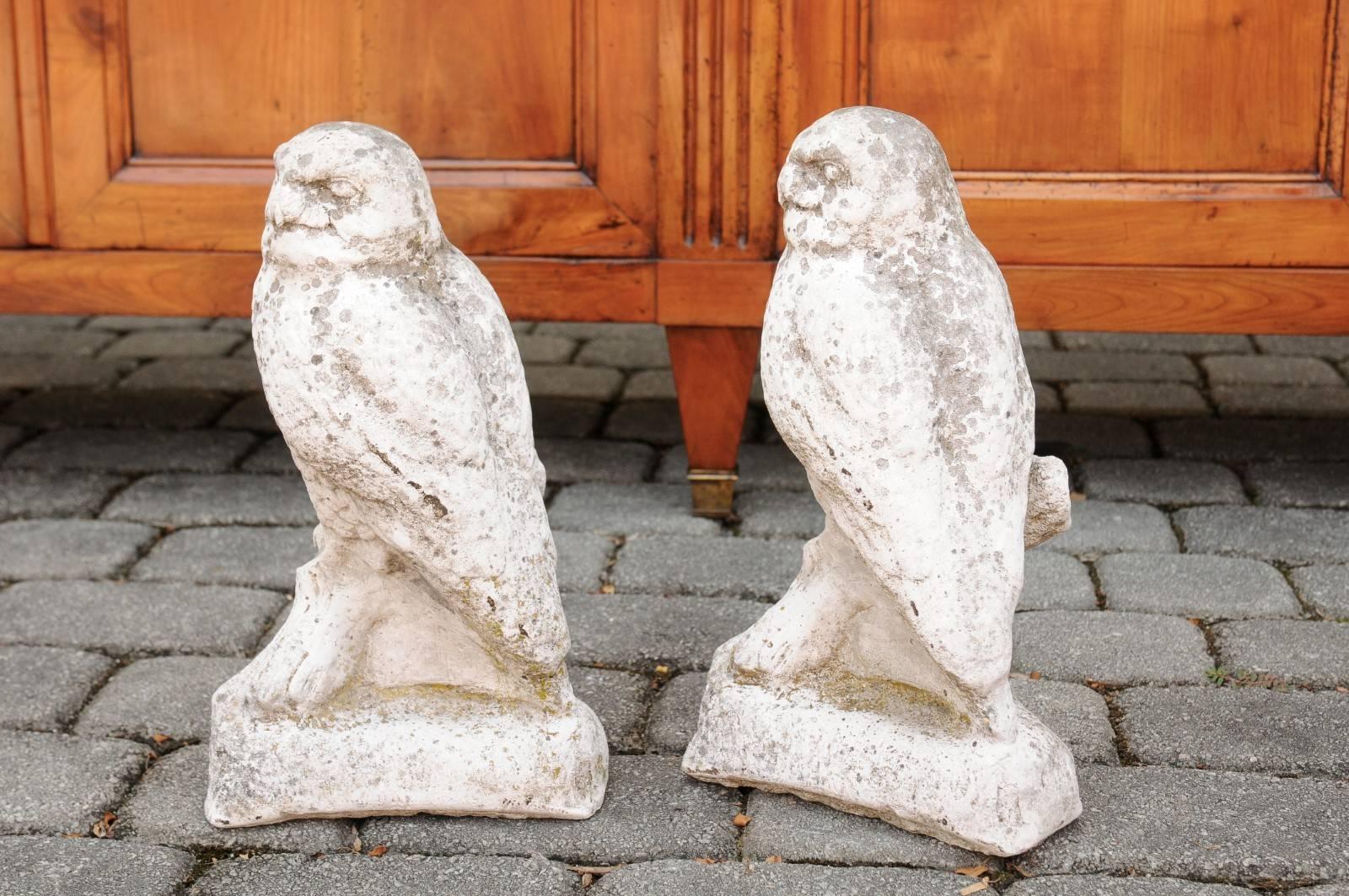 French Owl Composition Sculpture, circa 1950 with Weathered Appearance 4